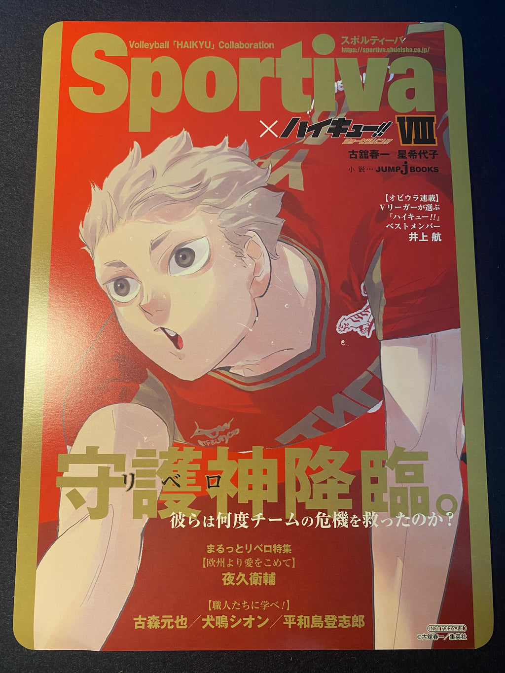 Affiche Grand Format Haikyū!! x Sportiva - Tome 8 – Affiche japonais | JapanResell