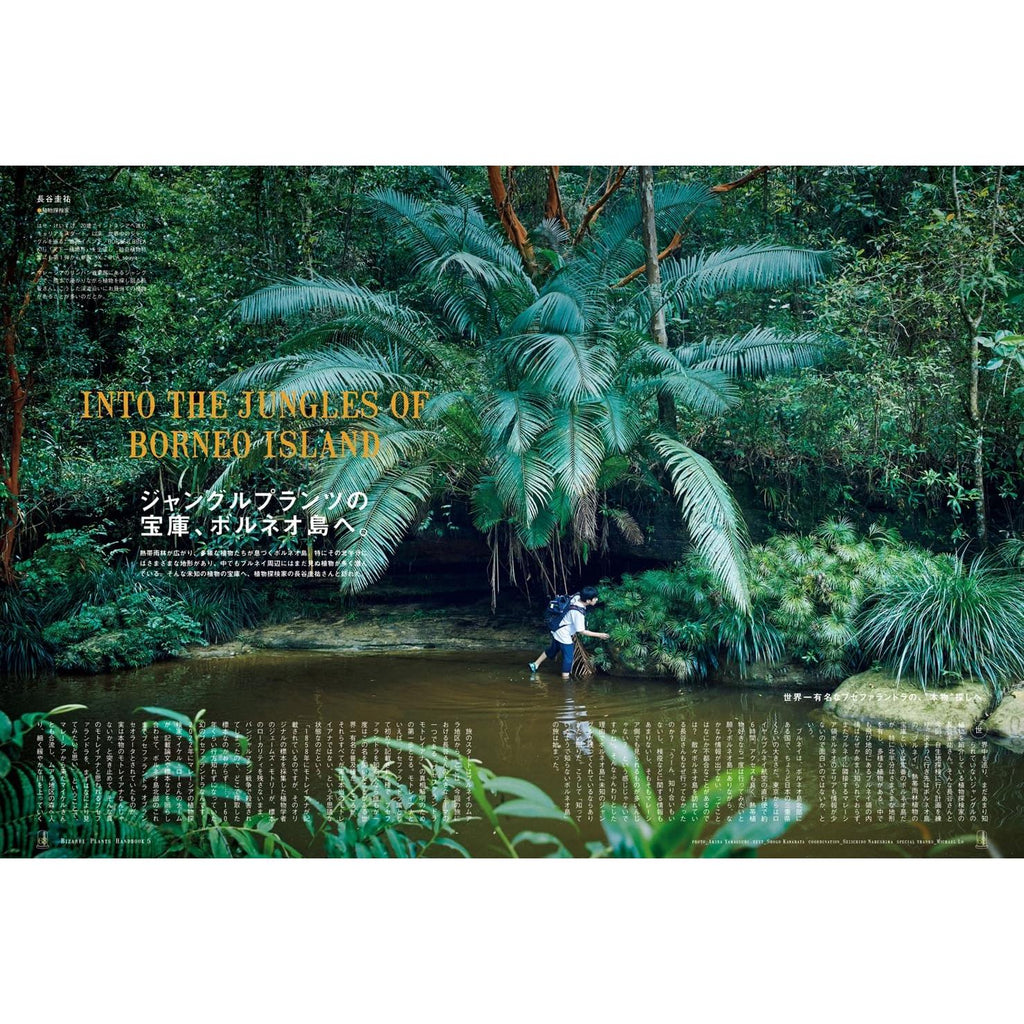 Brutus n°1030 (2025) - Bizarre Plants – japonais | JapanResell