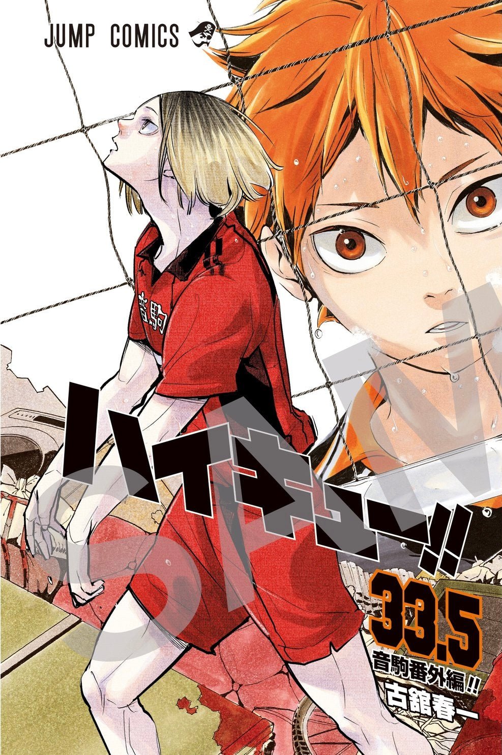 Haikyū!! - Tome 33.5 Vol. 2 – japonais | JapanResell