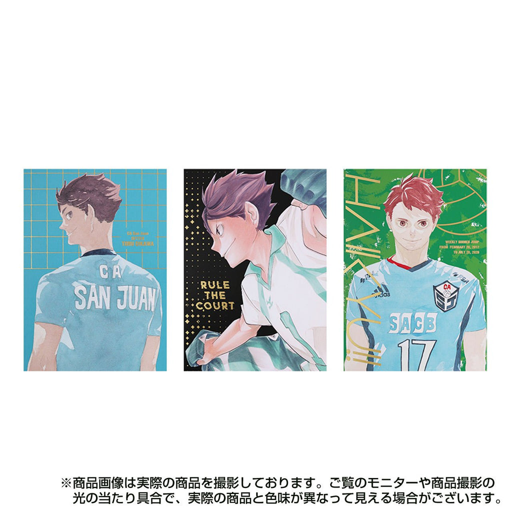 Heroes Photo Book - Toru Oikawa - Haikyu!! Exhibition FINAL – japonais | JapanResell