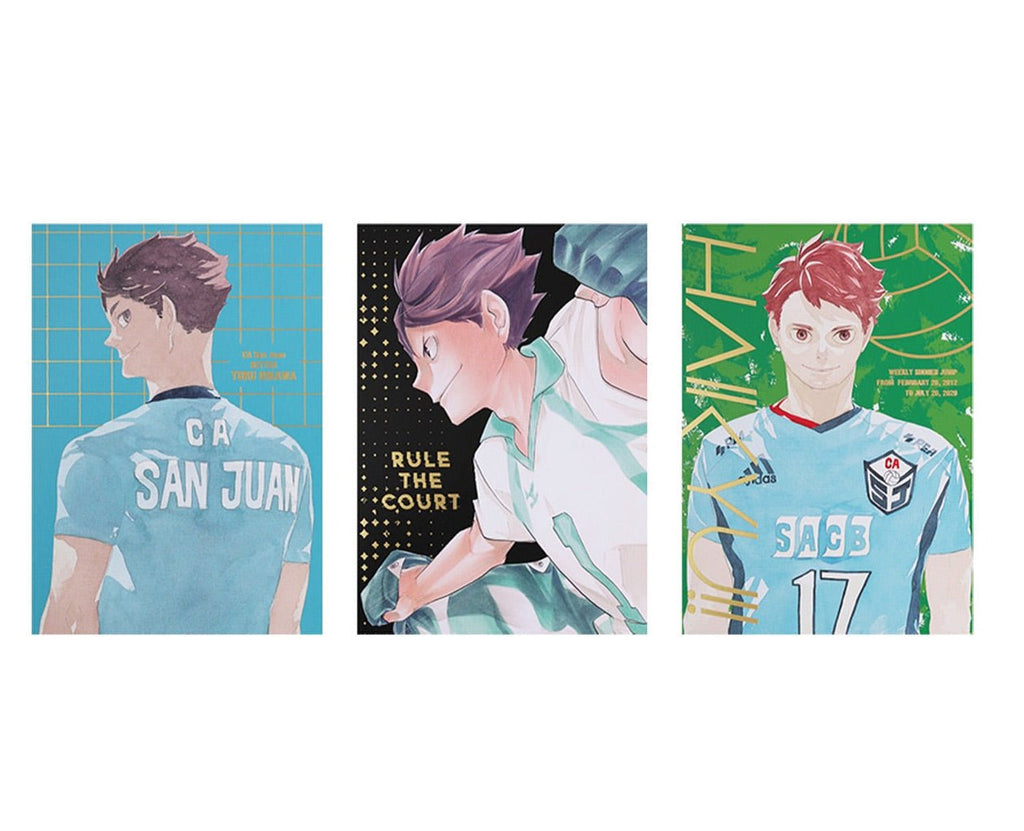 Heroes Photo Book - Toru Oikawa - Haikyu!! Exhibition FINAL – japonais | JapanResell