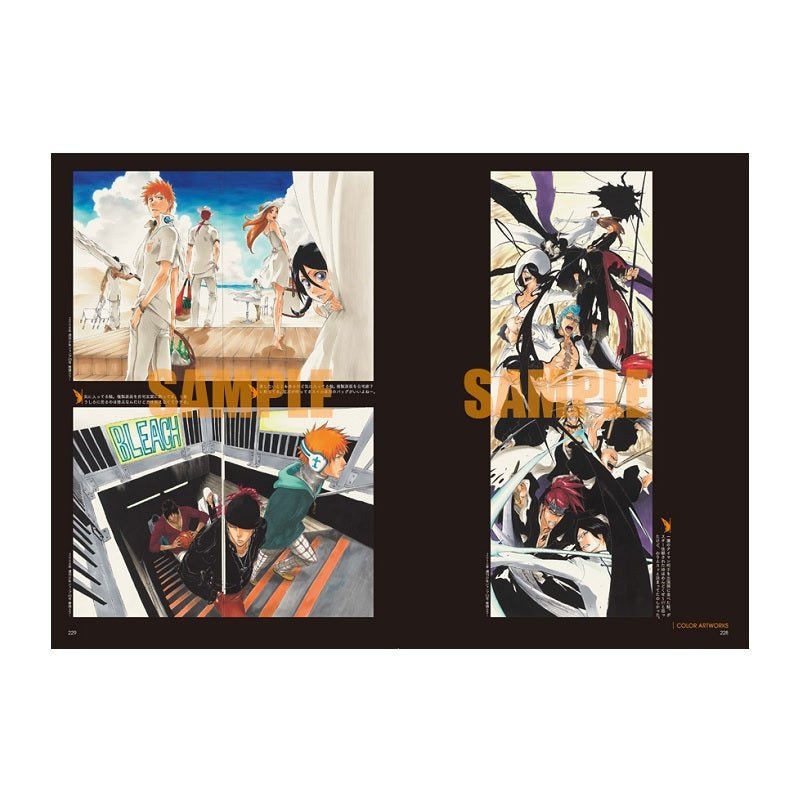 Bleach Ex. - THE BLACK BROCHURE – Art Book japonais | JapanResell