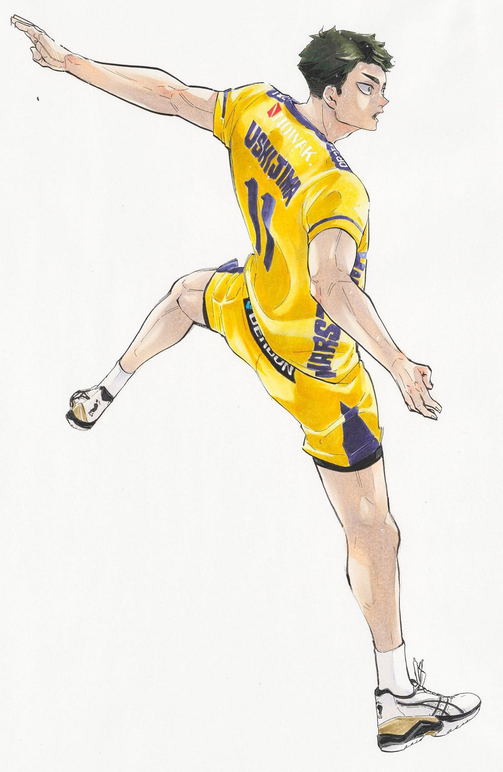 Artbook Haikyū!! - 10th Chronicle - Bundled Version (Goodies) – Art Book japonais | JapanResell