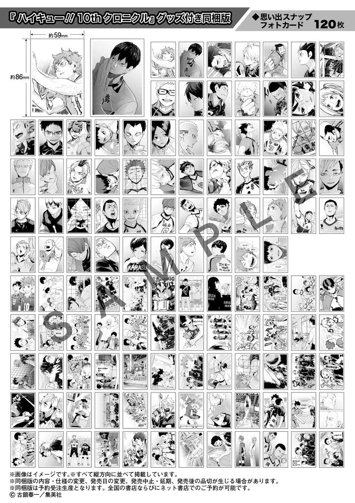 Artbook Haikyū!! - 10th Chronicle - Bundled Version (Goodies) – Art Book japonais | JapanResell