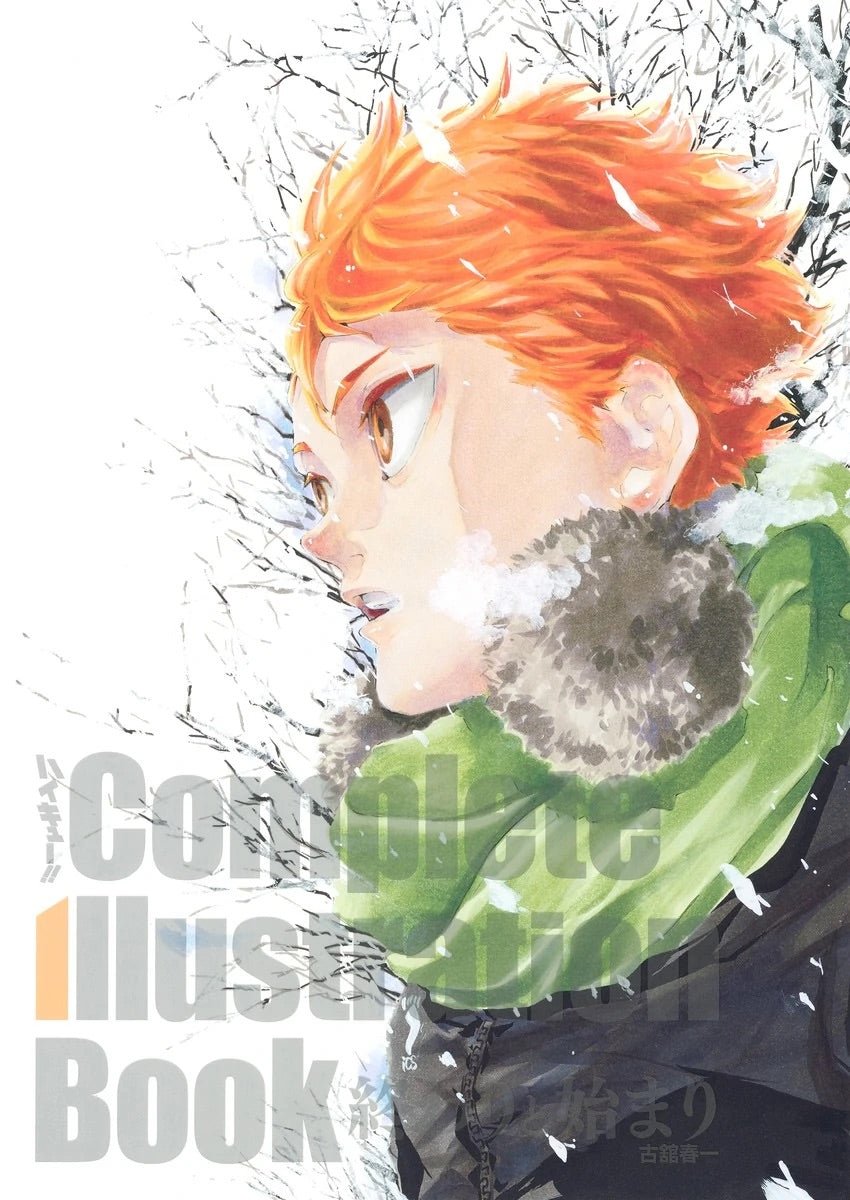 Artbook - Haikyū!! Complete Illustration book (Précommande) – ArtBook japonais | JapanResell