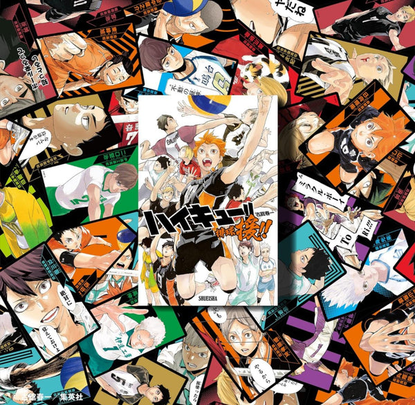 Haikyū!! Support!! (Précommande) – japonais | JapanResell