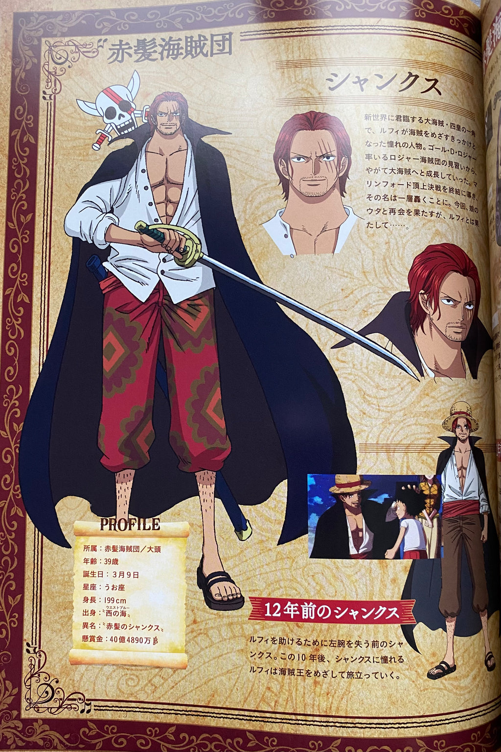 One Piece Red - Artbook du film – Pamphlet japonais | JapanResell