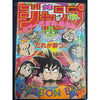 Protection A4 Magazine (Weekly Shonen Jump/ Weekly Shonen Magazine/Magazines Hebdomadaires) – japonais | JapanResell