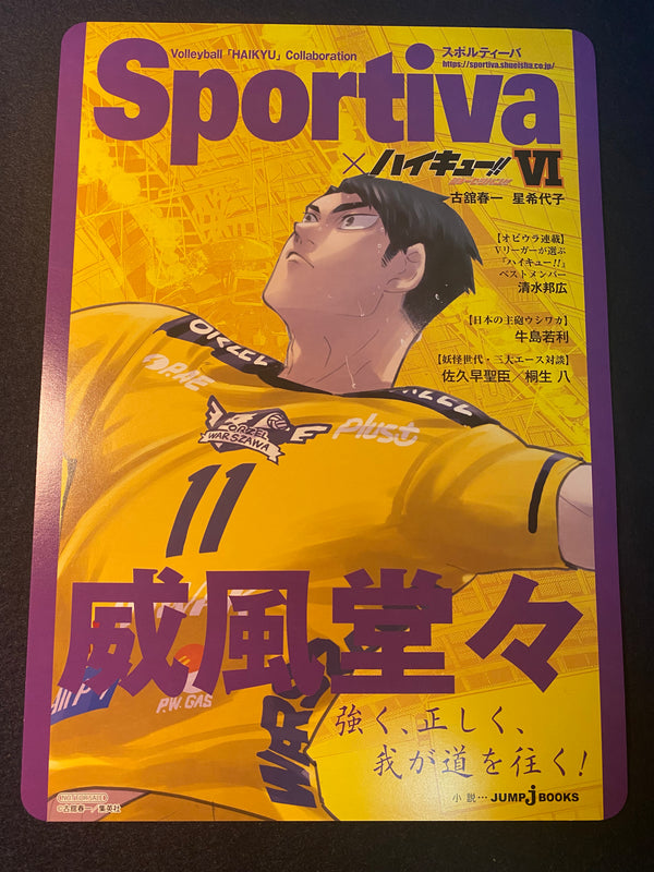 Affiche Grand Format Haikyū!! x Sportiva - Tome 6 – Affiche japonais | JapanResell