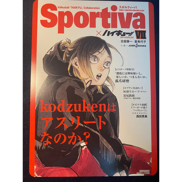 Affiche Grand Format Haikyū!! x Sportiva - Tome 7 – Affiche japonais | JapanResell