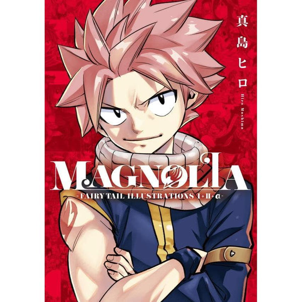 Artbook Fairy Tail Magnolia Illustrations 1+2+α - – japonais | JapanResell
