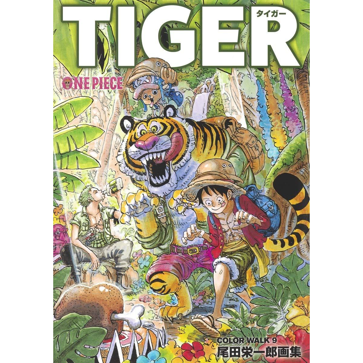 artbook-one-piece-color-walk-9