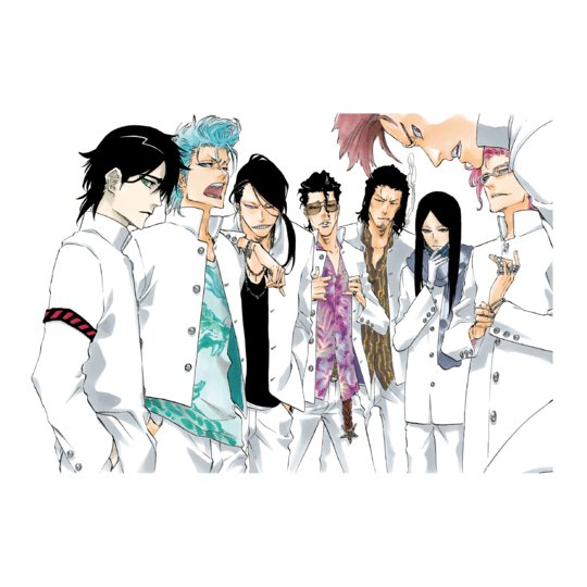 Bleach Klub Outside - BLEACH THE HIGHSCHOOL WARFARE Tapisserie W (Précommande) - JapanResell