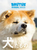 Brutus – Édition Spéciale Revisitée (2023) – It's a Dog – japonais | JapanResell