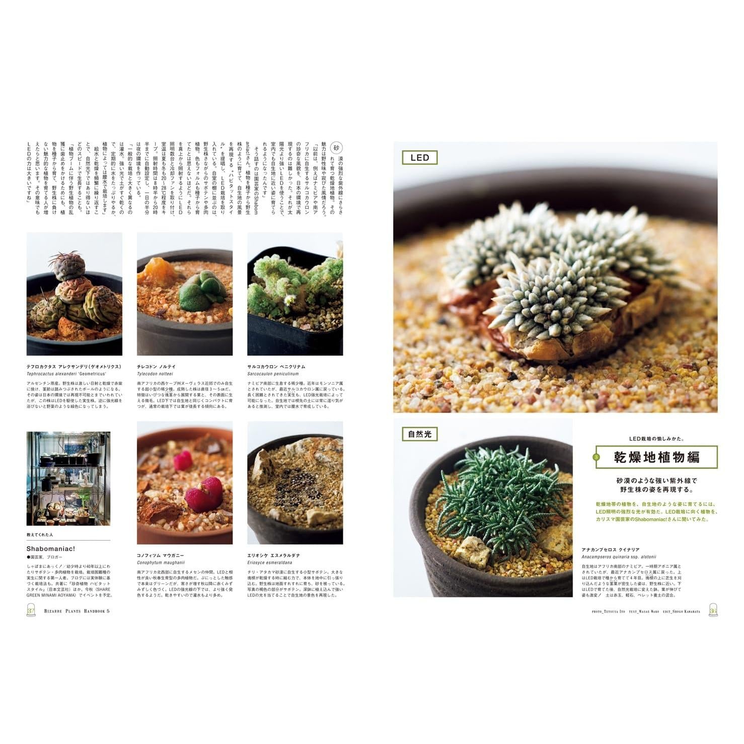 Brutus #1030 (2025) – Bizarre Plants (Japanese Magazine)– JapanResell