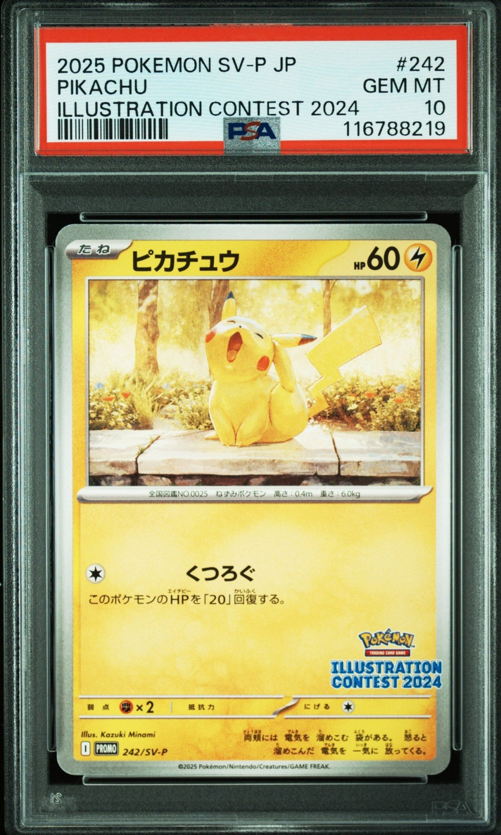 Carte Pokémon PSA 10 GEM MINT - 2025 POKEMON JAPANESE SV-P PROMO #242 PIKACHU ILLUSTRATION CONTEST 2024 – japonais | JapanResell