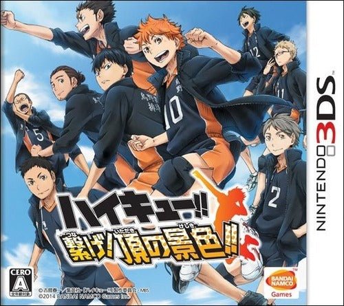 Haikyu Tsunage Itadaki No Keshiki - Nintendo 3DS - JapanResell