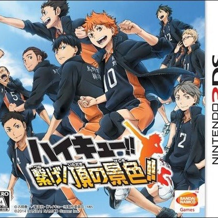 Haikyu Tsunage Itadaki No Keshiki - Nintendo 3DS - JapanResell