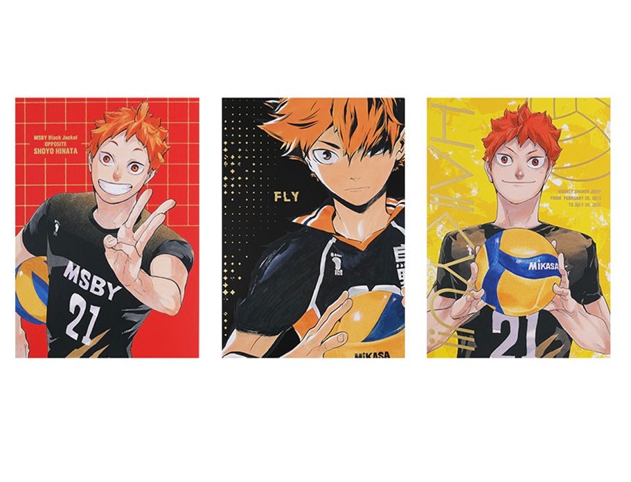 Heroes Photo Book - Shoyo Hinata - Haikyu!! Exhibition FINAL - JapanResell