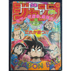 Lot de 100 Protection A4 Magazine (Weekly Shonen Jump/ Weekly Shonen Magazine/Magazines Hebdomadaires) – japonais | JapanResell