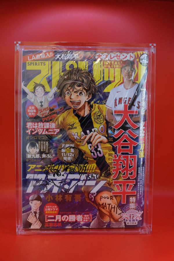 Protection Acrylique Weekly Shonen Jump (Magazines Hebdomadaires) – japonais | JapanResell
