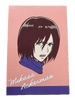 Shingeki No Kyojin (l'Attaque des Titans) - Illustration Mikasa - POP UP SHOP by WIT STUDIO - JapanResell