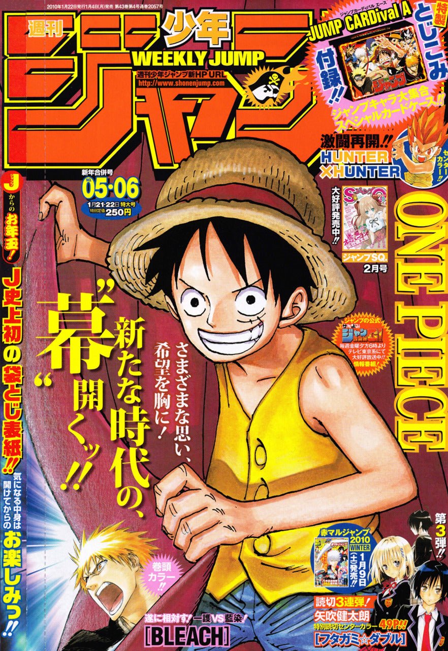 Weekly Shonen Jump 5-6, 2010 (One Piece) – Magazine japonais | JapanResell