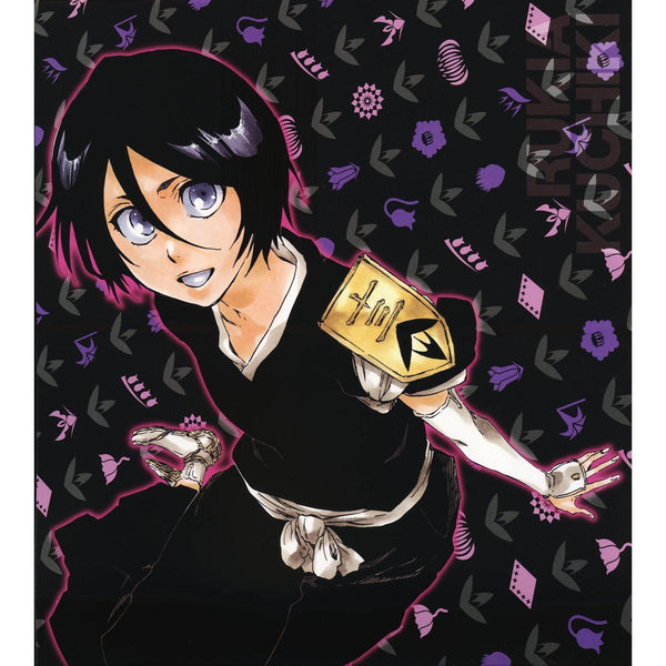 Bleach - The Death Save The Strawberry (Précommande) – Roman japonais | JapanResell