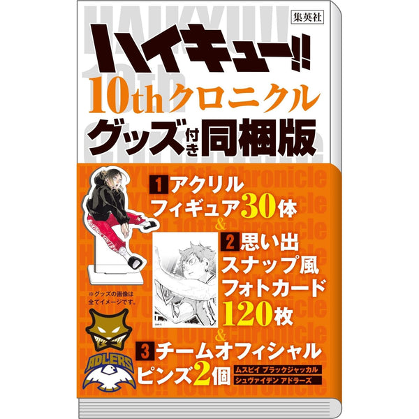 Artbook Haikyū!! - 10th Chronicle - Bundled Version (Goodies) – Art Book japonais | JapanResell