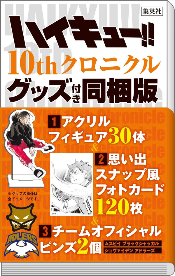 Artbook Haikyū!! - 10th Chronicle - Bundled Version (Goodies) – Art Book japonais | JapanResell