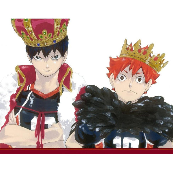 Artbook - Haikyū!! Complete Illustration book (Précommande) – ArtBook japonais | JapanResell