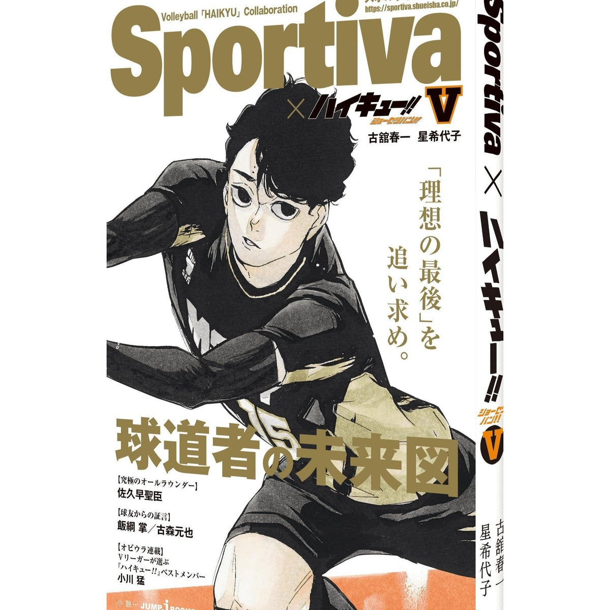 Volleyball Haikyuu Lev Genzan Eng Sub ハイキュー!! 全巻＋小説1~3＋