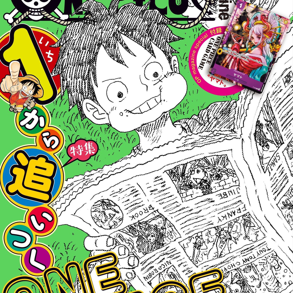 One Piece Magazine Vol.17– JapanResell