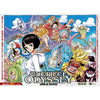 Weekly Shonen Jump 29, 2022 (One Piece) – Magazine japonais | JapanResell
