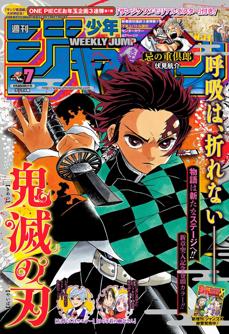 Demon Slayer: Kimetsu no Yaiba, Vol. 7 (Shonen Jump Manga, 7